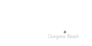 royal palm_900